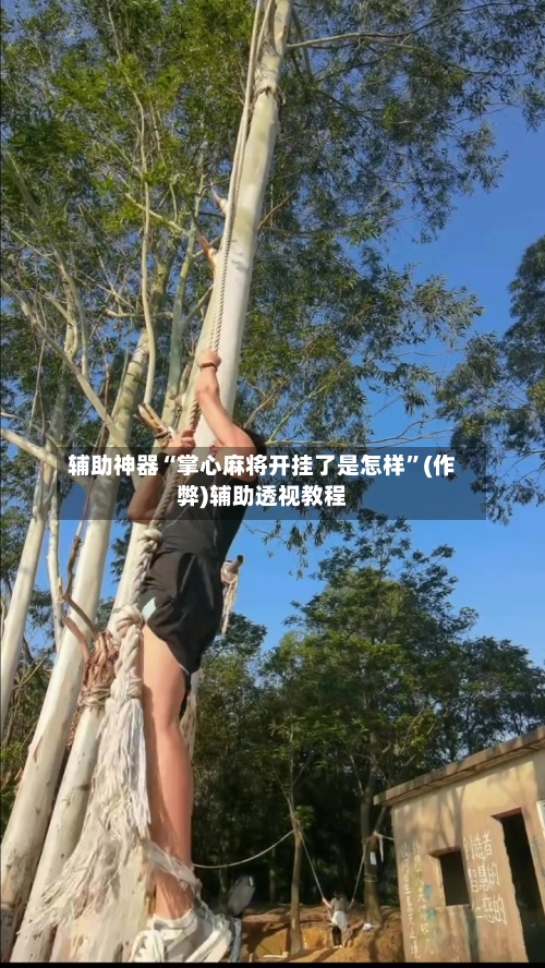 辅助神器“掌心麻将开挂了是怎样”(作弊)辅助透视教程-第3张图片