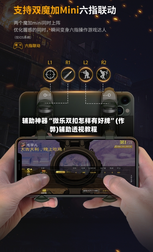 辅助神器“微乐双扣怎样有好牌”(作弊)辅助透视教程
