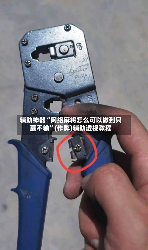 辅助神器“网络麻将怎么可以做到只赢不输”(作弊)辅助透视教程