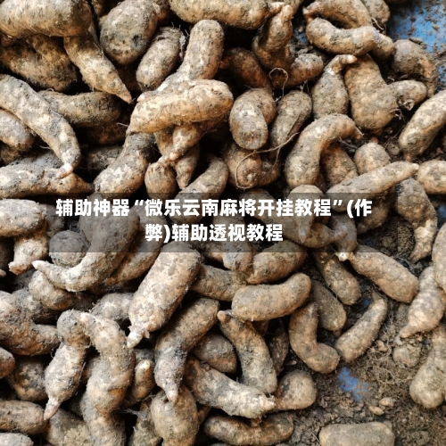 辅助神器“微乐云南麻将开挂教程”(作弊)辅助透视教程-第2张图片