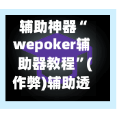 辅助神器“wepoker辅助器教程”(作弊)辅助透视教程-第2张图片