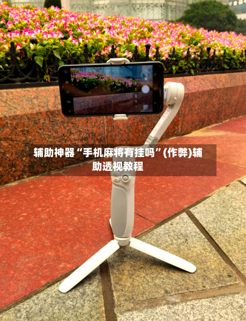 辅助神器“手机麻将有挂吗”(作弊)辅助透视教程-第3张图片