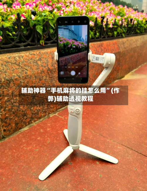 辅助神器“手机麻将的挂怎么用	”(作弊)辅助透视教程-第2张图片