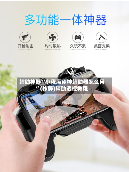 辅助神器“小程序雀神辅助器怎么用”(作弊)辅助透视教程-第2张图片