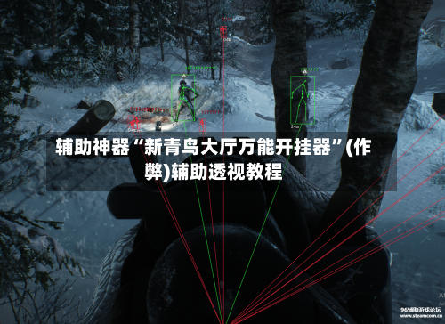 辅助神器“新青鸟大厅万能开挂器”(作弊)辅助透视教程-第2张图片