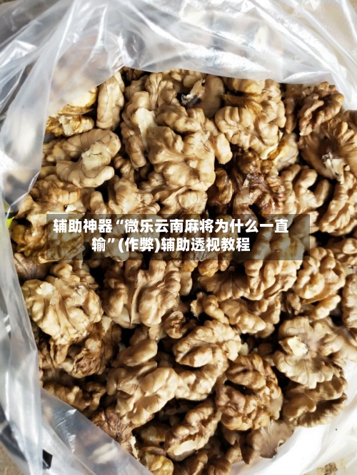 辅助神器“微乐云南麻将为什么一直输”(作弊)辅助透视教程