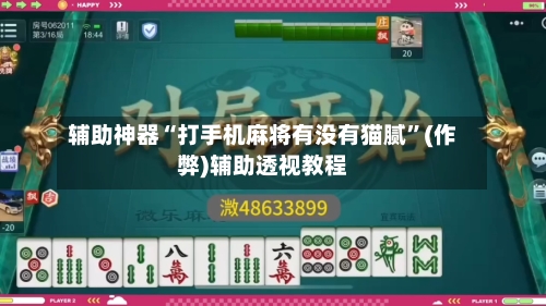 辅助神器“打手机麻将有没有猫腻”(作弊)辅助透视教程-第2张图片