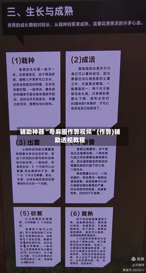 辅助神器“粤麻圈作弊视频”(作弊)辅助透视教程-第2张图片