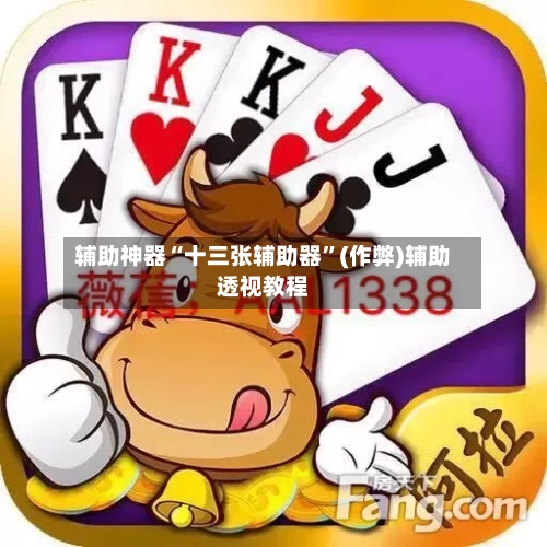 辅助神器“十三张辅助器”(作弊)辅助透视教程
