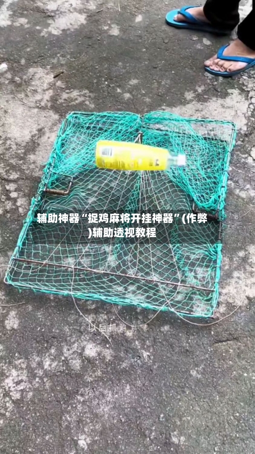 辅助神器“捉鸡麻将开挂神器”(作弊)辅助透视教程