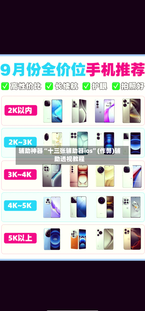 辅助神器“十三张辅助器ios	”(作弊)辅助透视教程-第3张图片