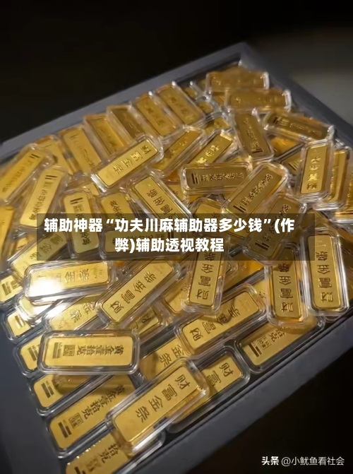 辅助神器“功夫川麻辅助器多少钱	”(作弊)辅助透视教程-第3张图片
