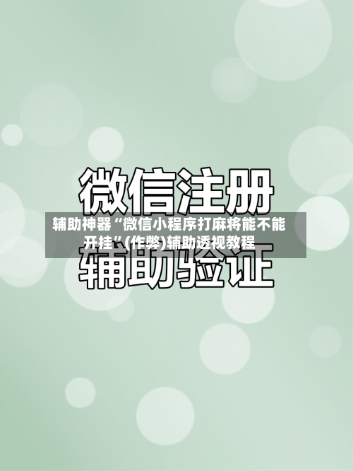 辅助神器“微信小程序打麻将能不能开挂	”(作弊)辅助透视教程-第3张图片