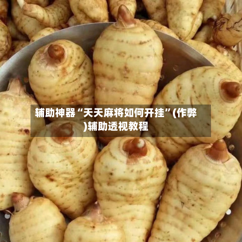 辅助神器“天天麻将如何开挂”(作弊)辅助透视教程-第3张图片