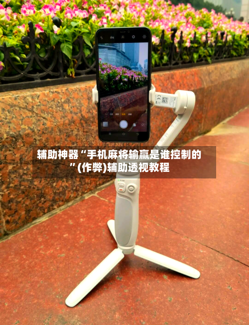 辅助神器“手机麻将输赢是谁控制的”(作弊)辅助透视教程-第3张图片