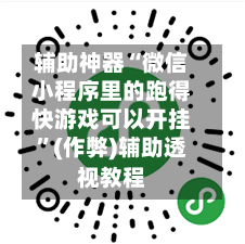 辅助神器“微信小程序里的跑得快游戏可以开挂”(作弊)辅助透视教程-第2张图片