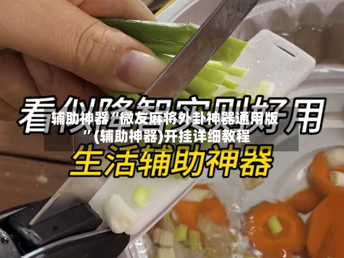 辅助神器“微友麻将外卦神器通用版 ”(辅助神器)开挂详细教程
