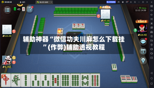 辅助神器“微信功夫川麻怎么下载挂”(作弊)辅助透视教程-第2张图片