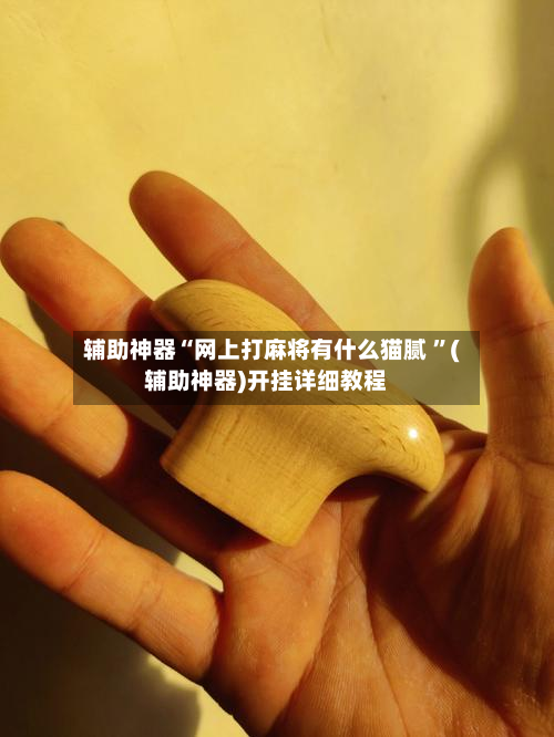 辅助神器“网上打麻将有什么猫腻 ”(辅助神器)开挂详细教程-第2张图片