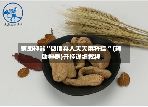 辅助神器“微信真人天天麻将挂 ”(辅助神器)开挂详细教程