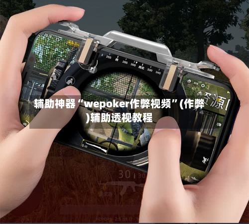 辅助神器“wepoker作弊视频	”(作弊)辅助透视教程-第2张图片