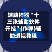 辅助神器“十三张辅助软件开挂”(作弊)辅助透视教程
