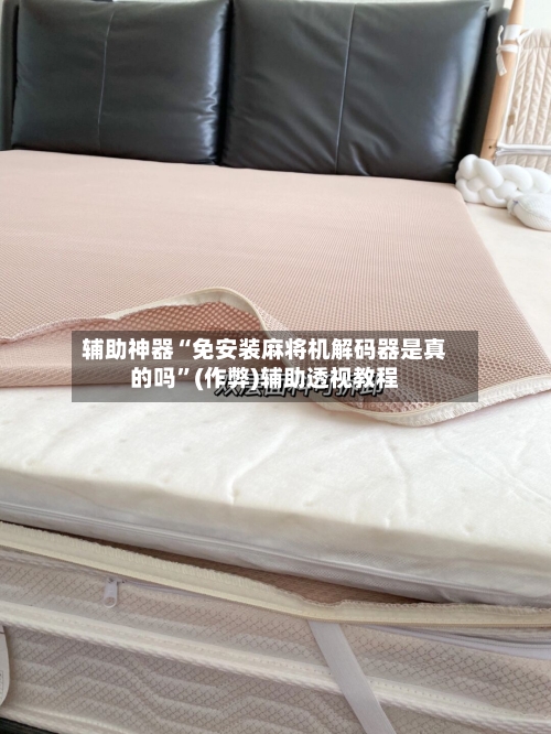辅助神器“免安装麻将机解码器是真的吗”(作弊)辅助透视教程-第2张图片