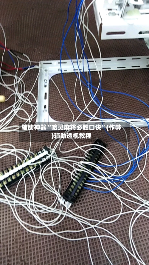 辅助神器“哈灵麻将必胜口诀”(作弊)辅助透视教程