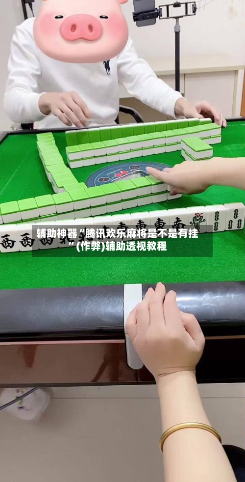 辅助神器“腾讯欢乐麻将是不是有挂”(作弊)辅助透视教程-第2张图片