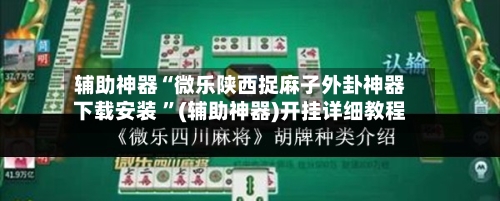 辅助神器“微乐陕西捉麻子外卦神器下载安装 ”(辅助神器)开挂详细教程-第2张图片