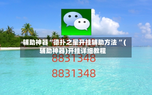辅助神器“德扑之星开挂辅助方法 ”(辅助神器)开挂详细教程-第3张图片