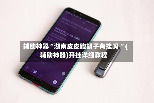 辅助神器“湖南皮皮跑胡子有挂吗 	”(辅助神器)开挂详细教程-第3张图片