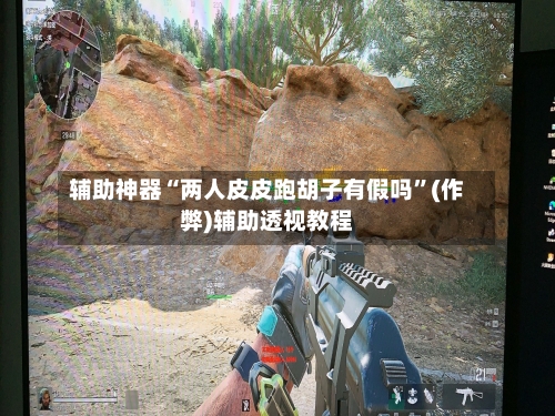 辅助神器“两人皮皮跑胡子有假吗”(作弊)辅助透视教程-第2张图片
