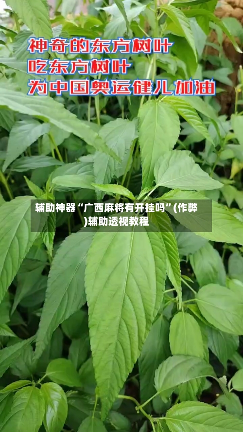 辅助神器“广西麻将有开挂吗”(作弊)辅助透视教程