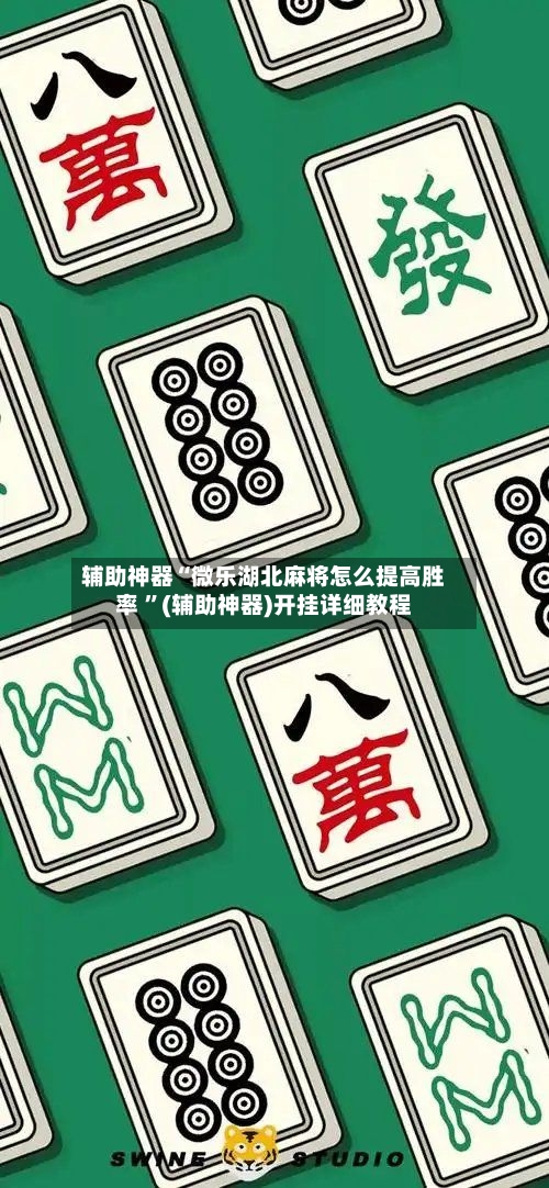 辅助神器“微乐湖北麻将怎么提高胜率 ”(辅助神器)开挂详细教程-第2张图片