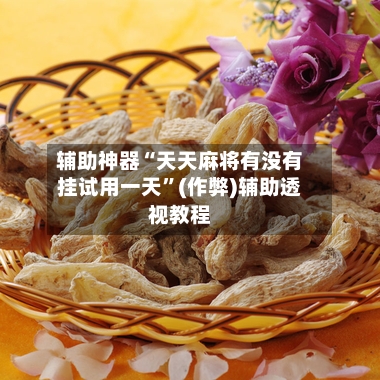 辅助神器“天天麻将有没有挂试用一天”(作弊)辅助透视教程-第3张图片