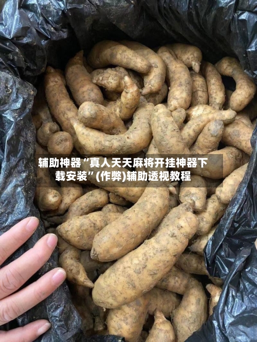 辅助神器“真人天天麻将开挂神器下载安装”(作弊)辅助透视教程-第2张图片