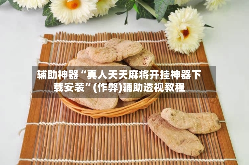 辅助神器“真人天天麻将开挂神器下载安装	”(作弊)辅助透视教程-第3张图片