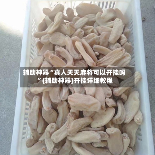 辅助神器“真人天天麻将可以开挂吗 ”(辅助神器)开挂详细教程