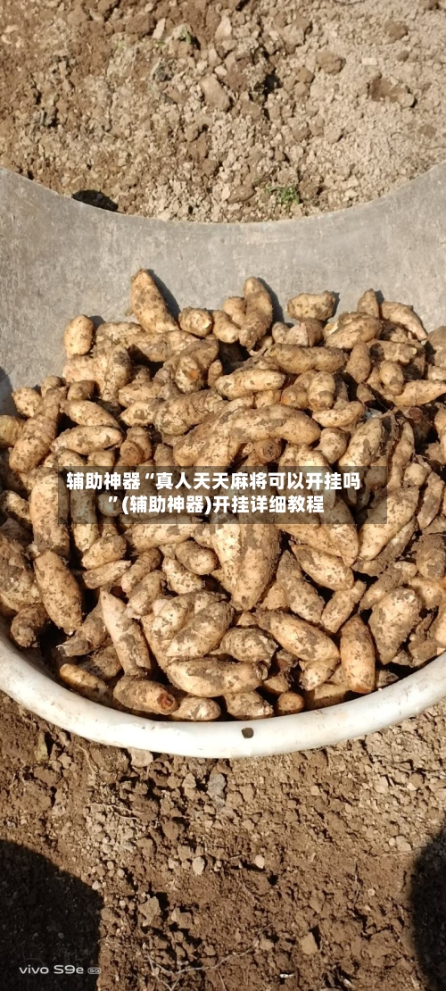 辅助神器“真人天天麻将可以开挂吗 ”(辅助神器)开挂详细教程-第2张图片