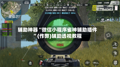 辅助神器“微信小程序雀神辅助插件”(作弊)辅助透视教程