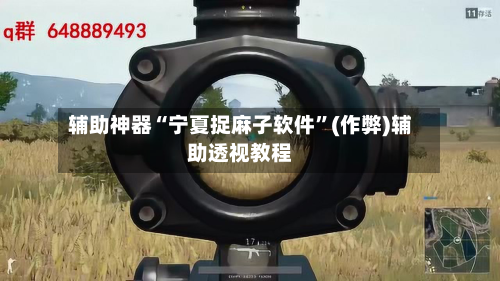 辅助神器“宁夏捉麻子软件”(作弊)辅助透视教程