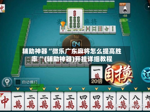 辅助神器“微乐广东麻将怎么提高胜率 ”(辅助神器)开挂详细教程