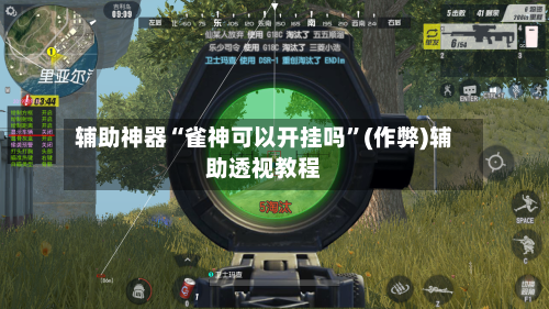 辅助神器“雀神可以开挂吗”(作弊)辅助透视教程-第2张图片