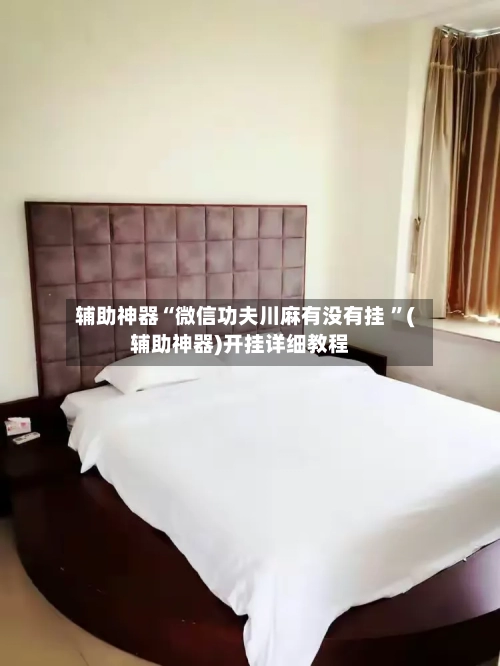 辅助神器“微信功夫川麻有没有挂 ”(辅助神器)开挂详细教程
