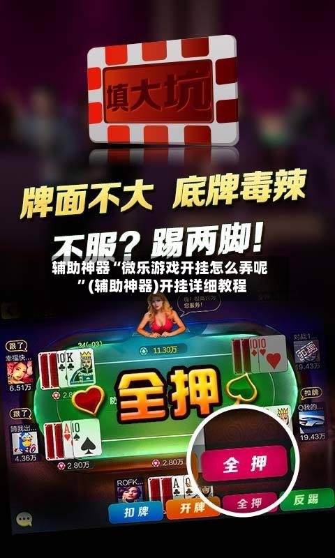 辅助神器“微乐游戏开挂怎么弄呢 ”(辅助神器)开挂详细教程-第2张图片