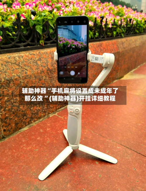 辅助神器“手机麻将设置成未成年了那么改 ”(辅助神器)开挂详细教程