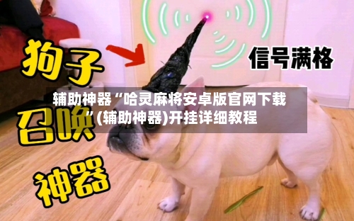 辅助神器“哈灵麻将安卓版官网下载 	”(辅助神器)开挂详细教程-第3张图片