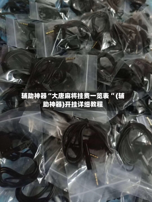 辅助神器“大唐麻将挂费一览表 ”(辅助神器)开挂详细教程-第2张图片