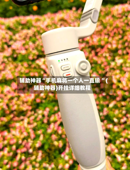 辅助神器“手机麻将一个人一直输 	”(辅助神器)开挂详细教程-第3张图片